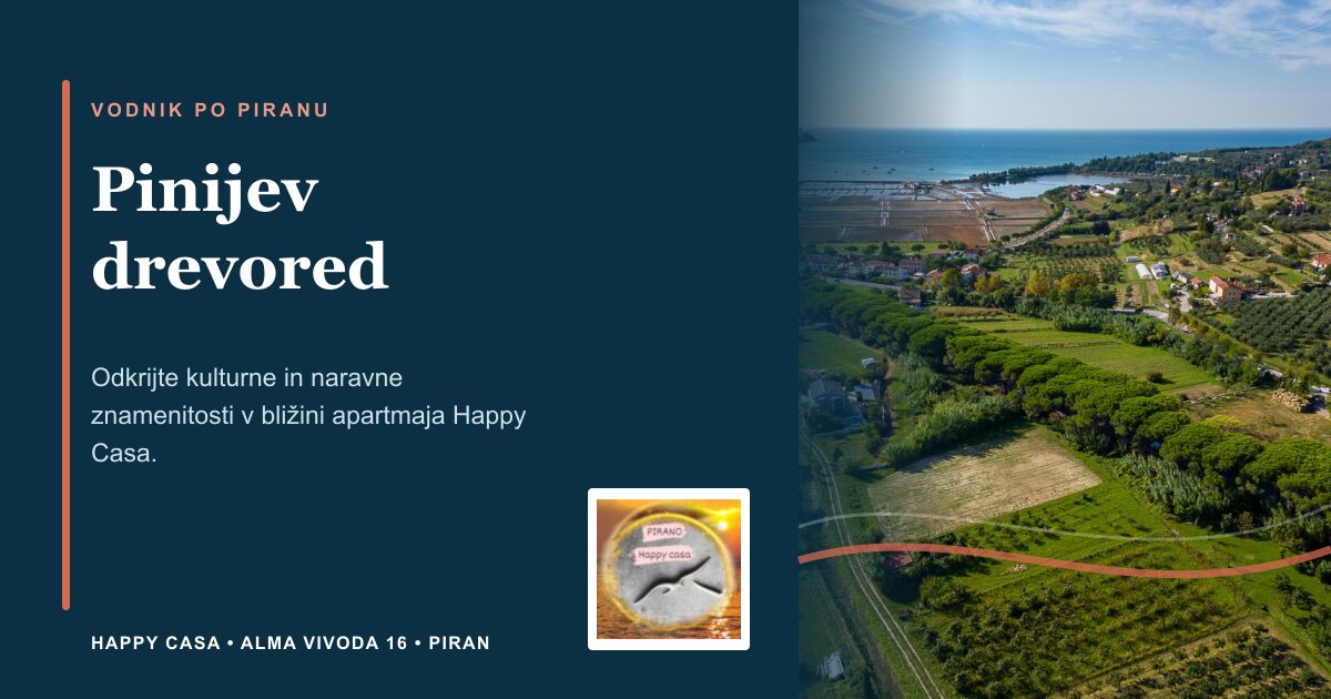 Pinijev drevored | Happy Casa Piran